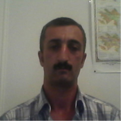 Ровшан Мамедов