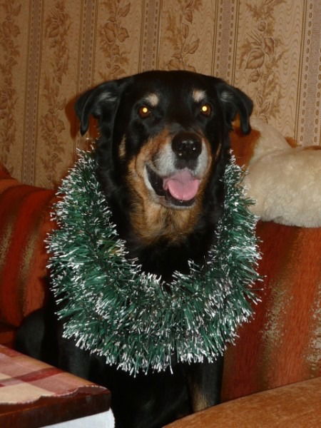 Елена Груздева