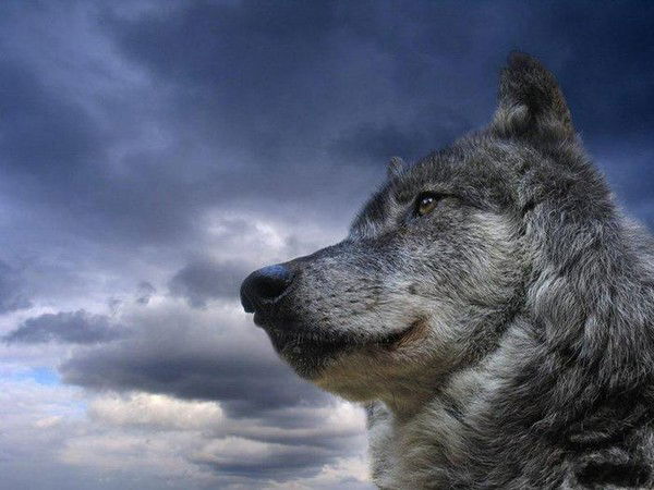 Александр Дьячков