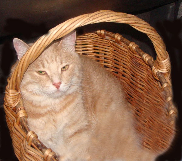 Александр Сироткин