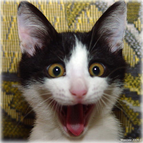 Сергей Дерягин