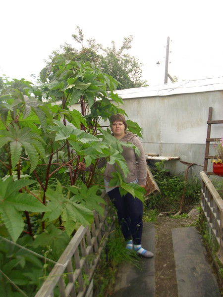 Мария Анзина