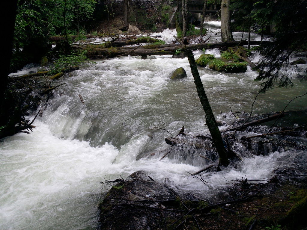 Евгений Донских