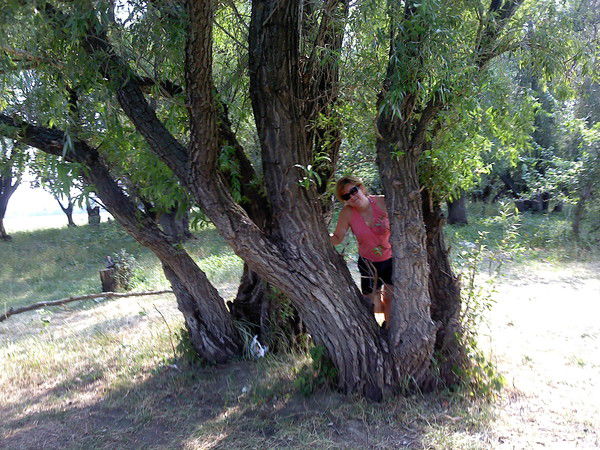 Наталья Гуськова