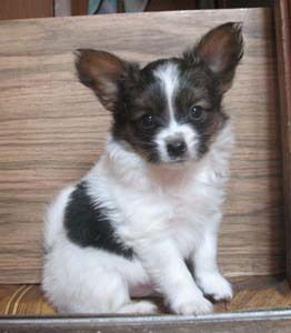 Татьяна Мордвинова