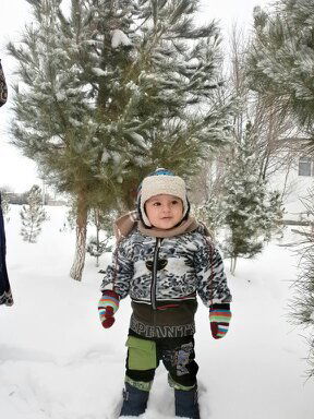 Дустмухаммед Рузмамедов