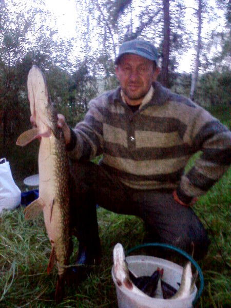 Алексей Александров