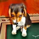 Юрий Бахметьев