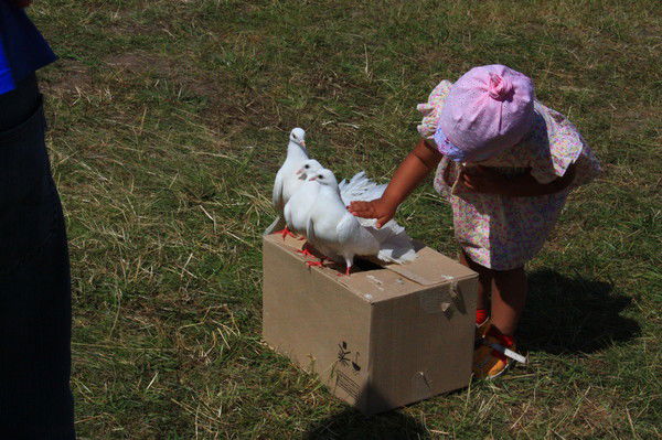 Алексей Андреев