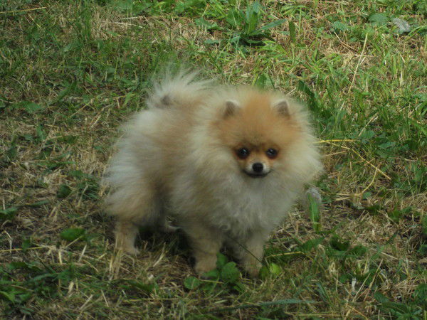 Азат Тазетдинов