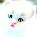 Юлика Кочемасова
