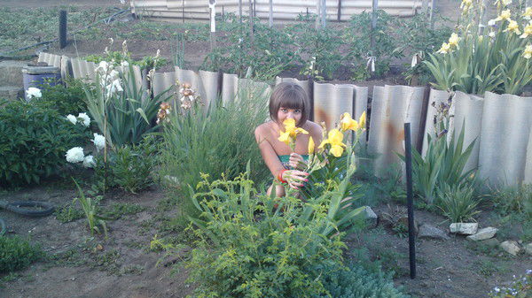 Анна Репп-Ногина