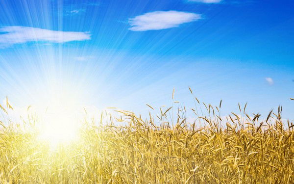 Галина Гребеникова