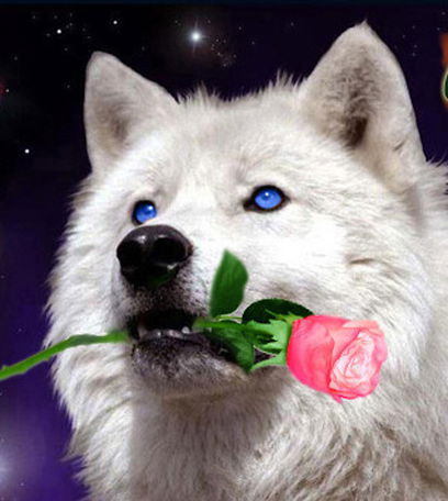 Елена Горопацкая