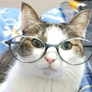 Эрнест Химэнэс