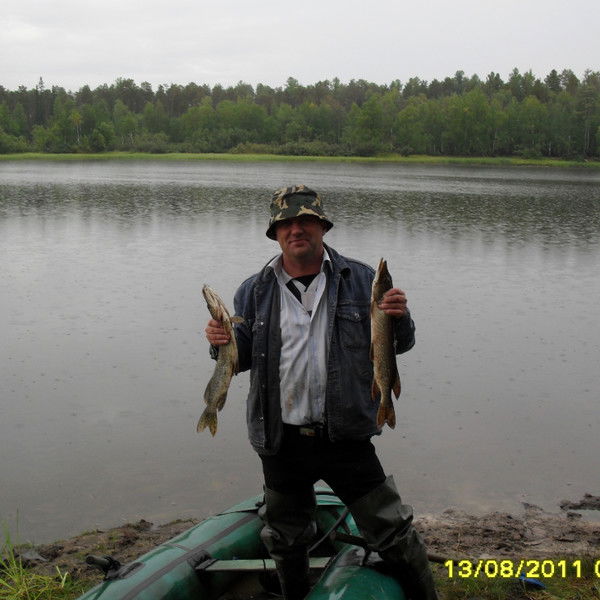 Андрей Шипунов