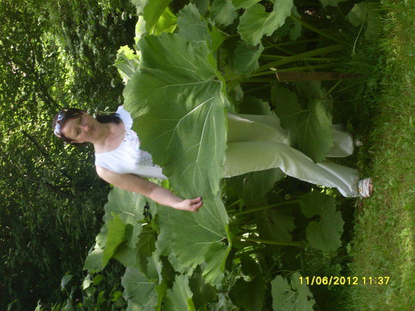 Татьяна Деньгина