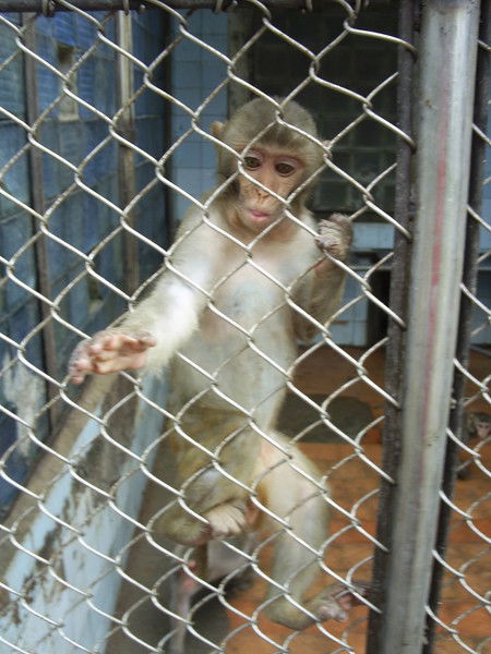 Андрей+ Глушко