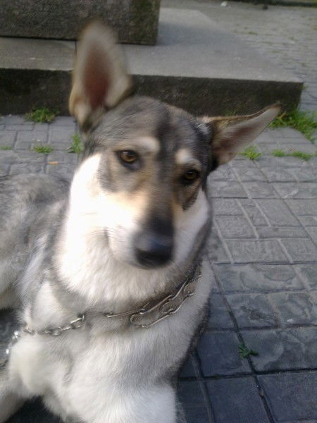 Зинаида Михайлова