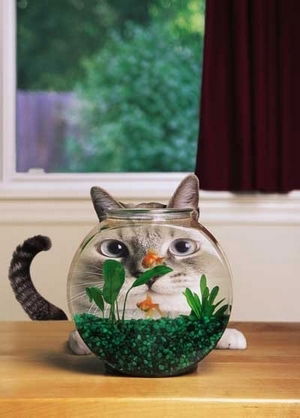 Сергей Черкасов