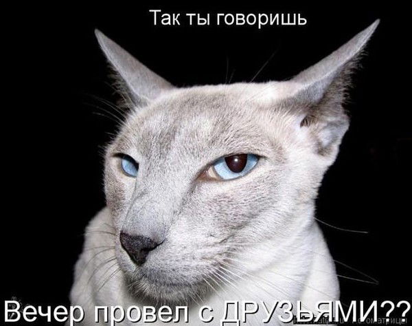 Тамара Давыдова