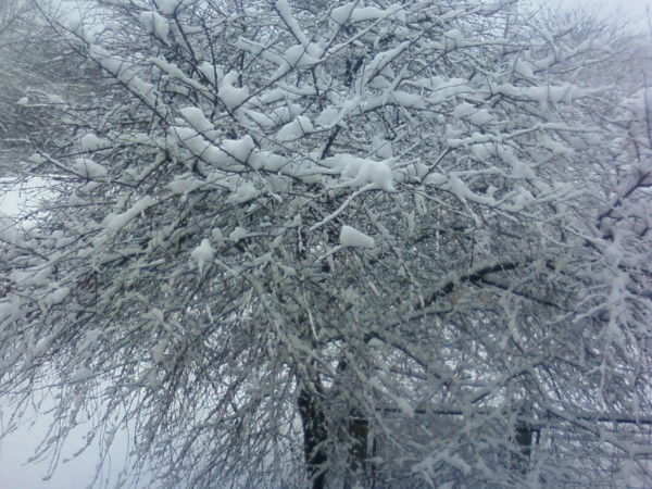 Ксения Оксана