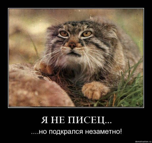 Real_Parfum Real_Parfum