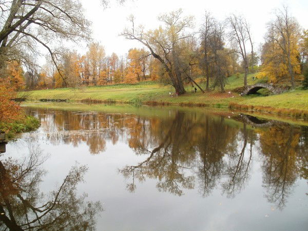 Нелли Капканова