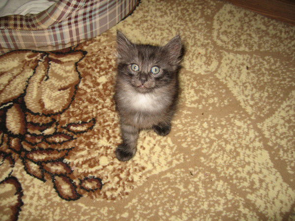 Валентин Деменьшин