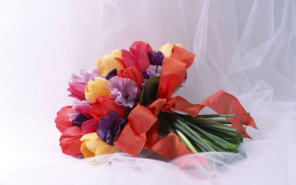 Анна Кузнецова