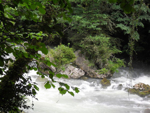 Маргарита Раздобудько