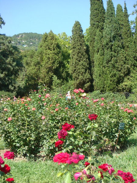 ***наталья ***