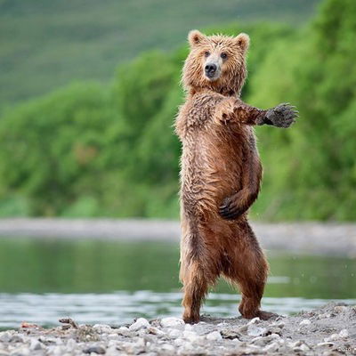 Игорь Александров