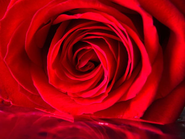 Алевтина Дудкина