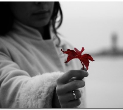 Летний Закат