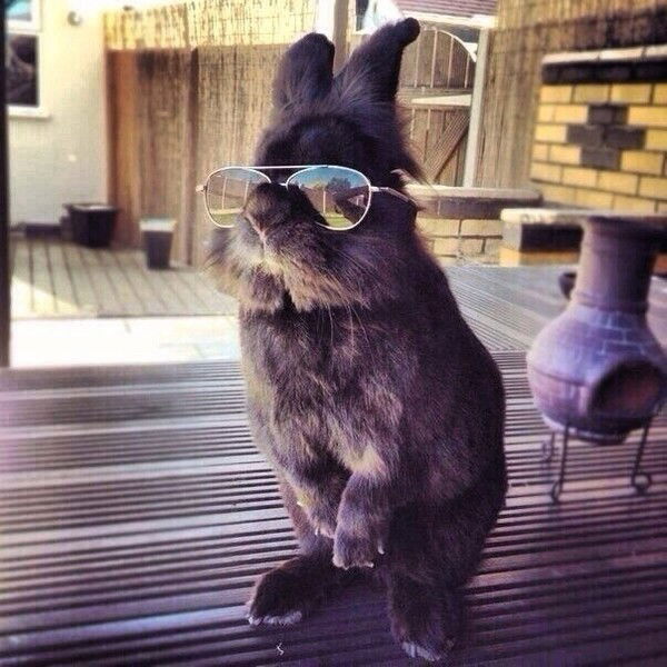 Женя Климович