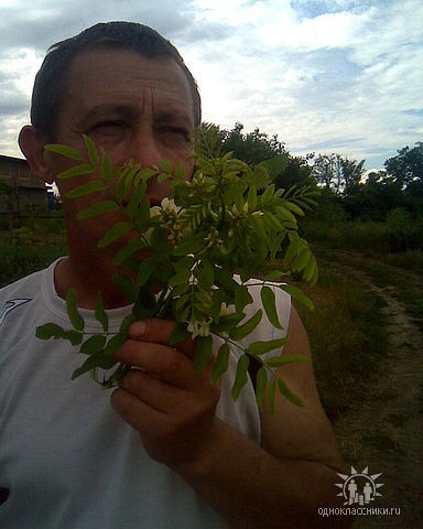 Александр Полищук