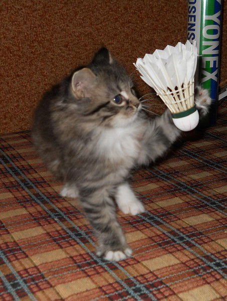 Ольга Ивановна