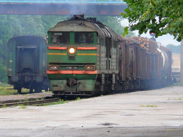 Анастасия Немудрая