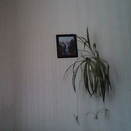 Наталья Бондаренко