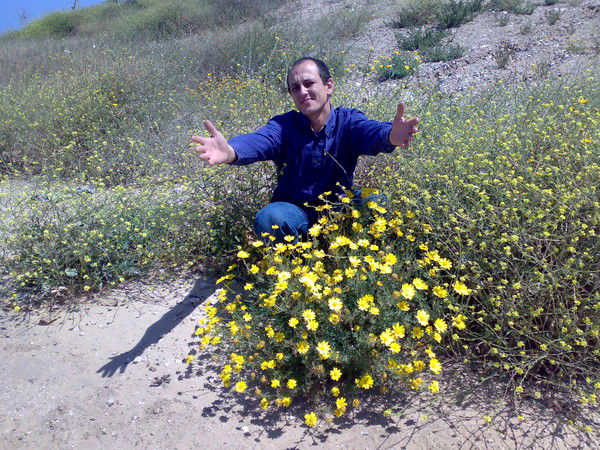 Роман Рюмшин