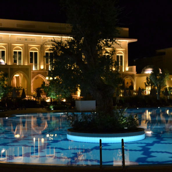 Ольга Пархоменко