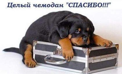 Татьяна Лиман