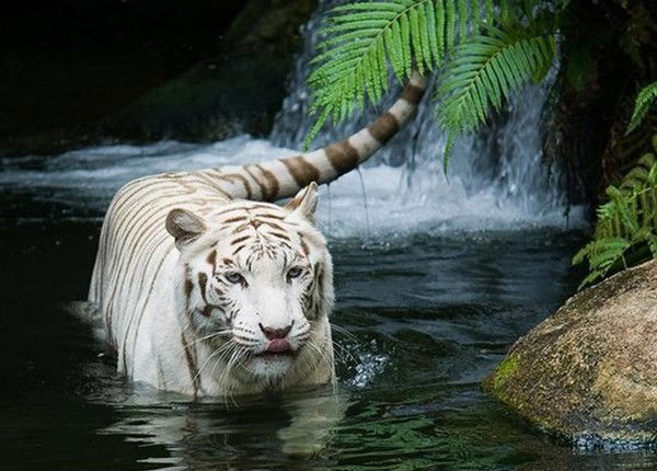 Артём *********