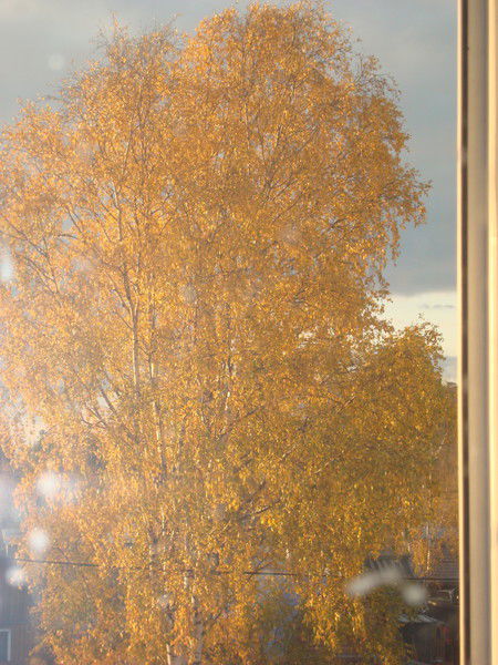 Ольга Пупкина