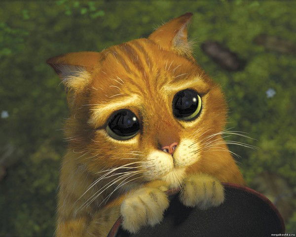 Ольга Родионова