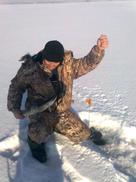 Александр Сергиенко