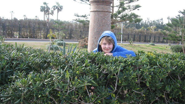 Елена Демидова