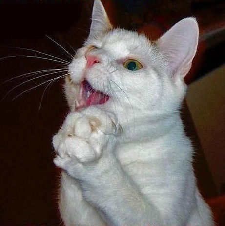 Cергей Яськов