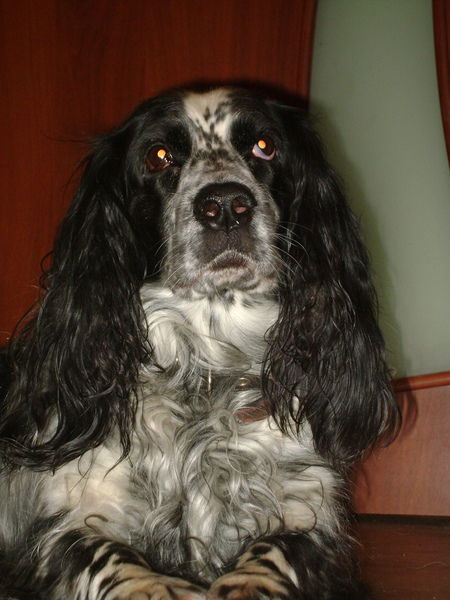 Виктория Басарыгина